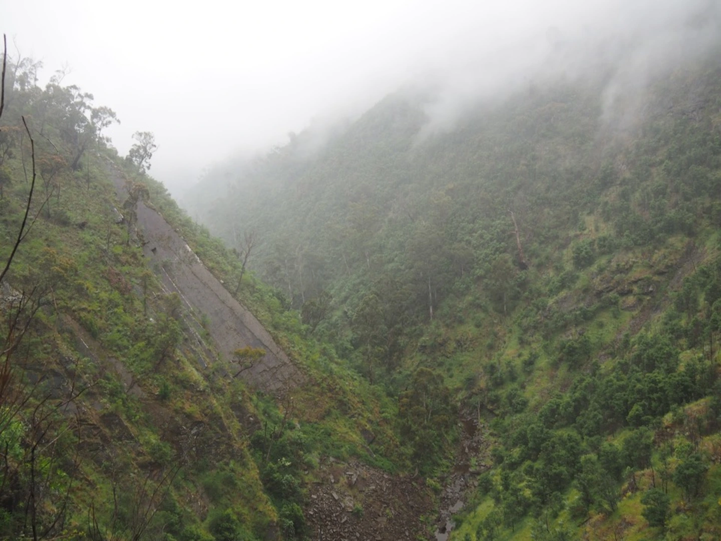 An image depicting the trail Strath Creek and Tunnel Falls Trail and its surrounding area.