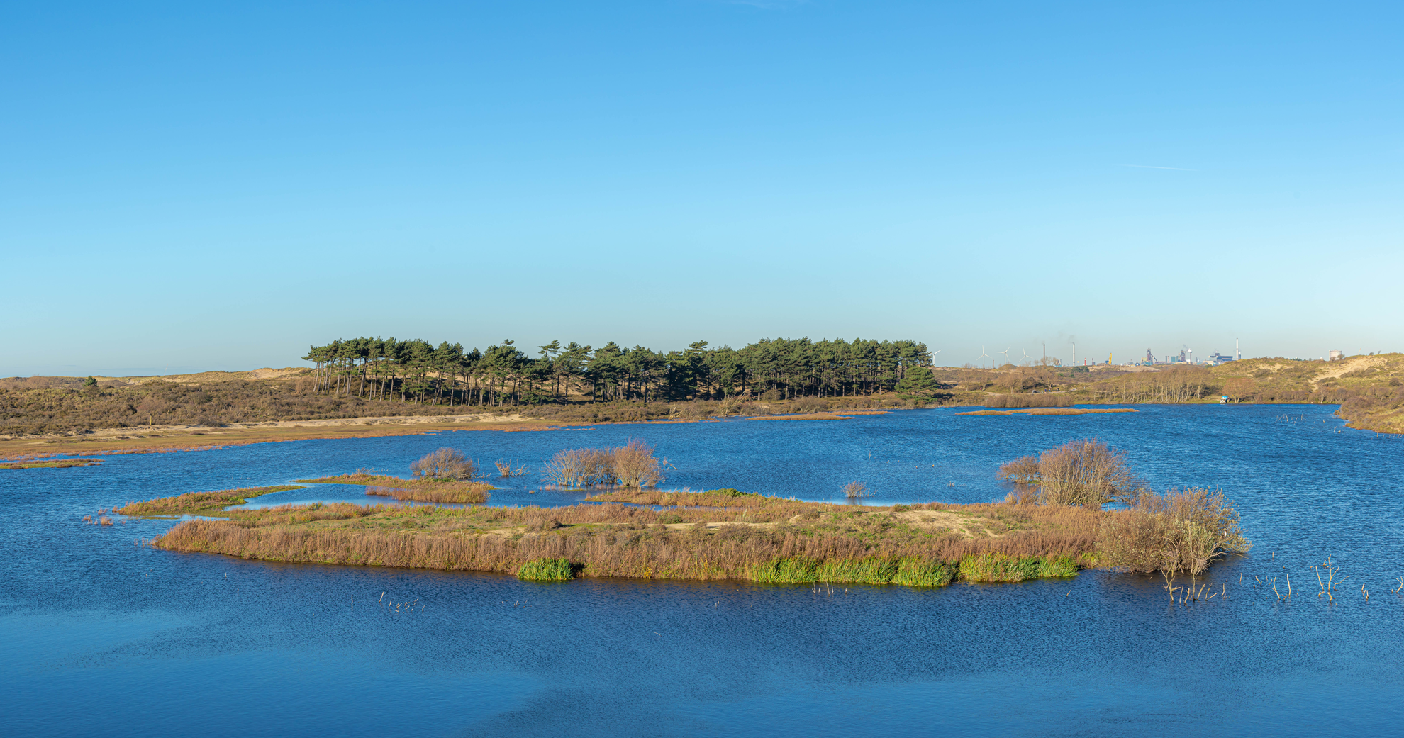 An image depicting the trail Vogelmeer in Schoorlse Loop and its surrounding area.