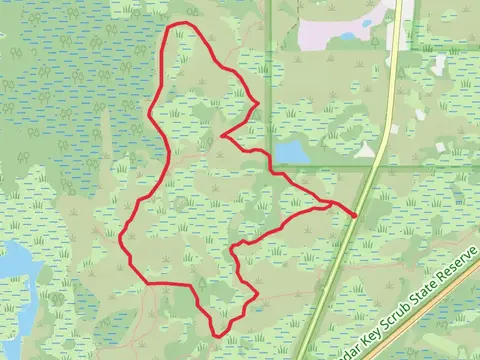 White Loop