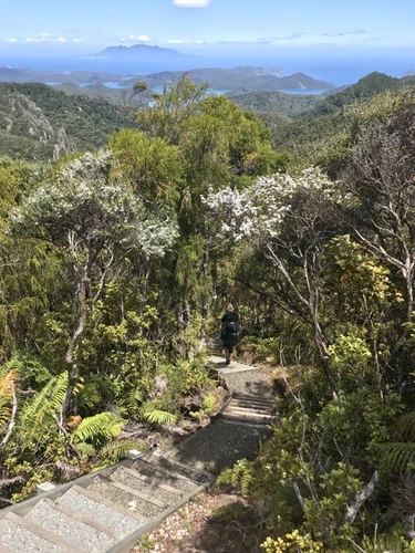 Aotea Track
