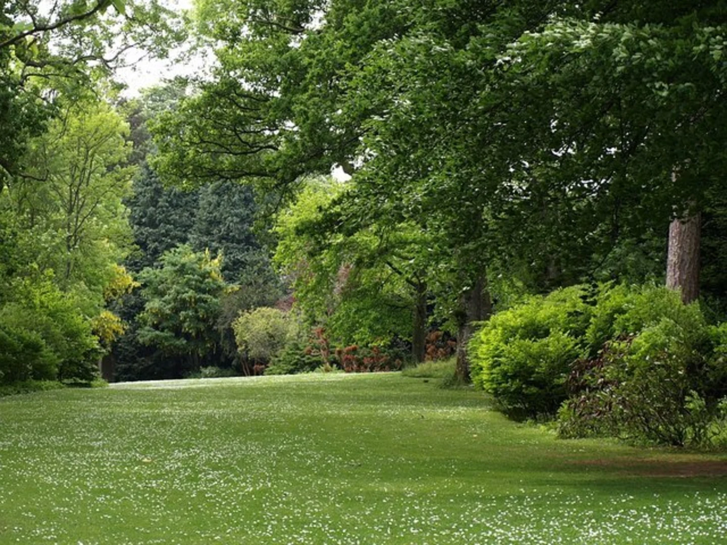 An image depicting the trail Dartington Loop and its surrounding area.