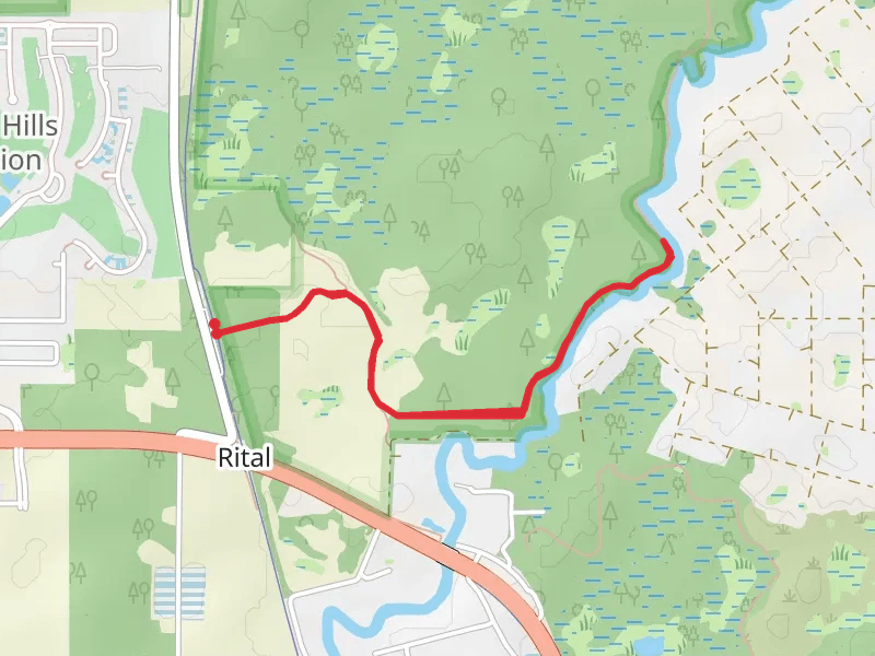 Withlacoochee River Trail - Rital