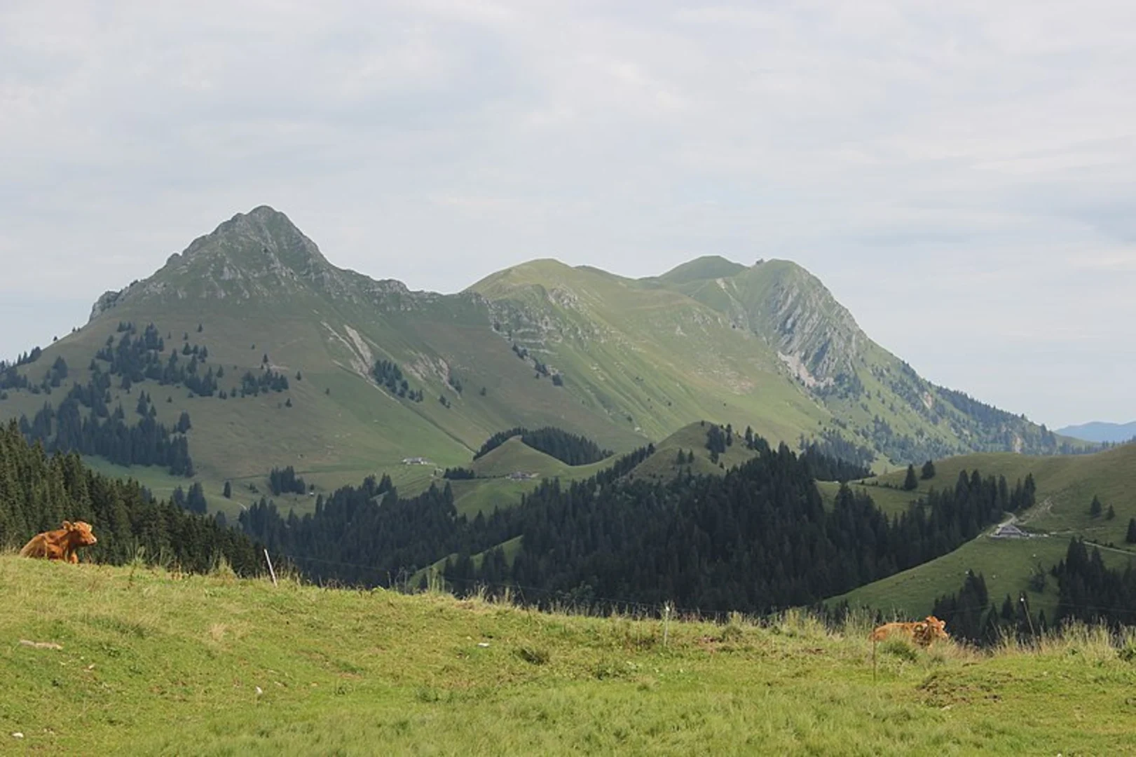 An image depicting the trail Teysachaux Peak Loop Trail and its surrounding area.
