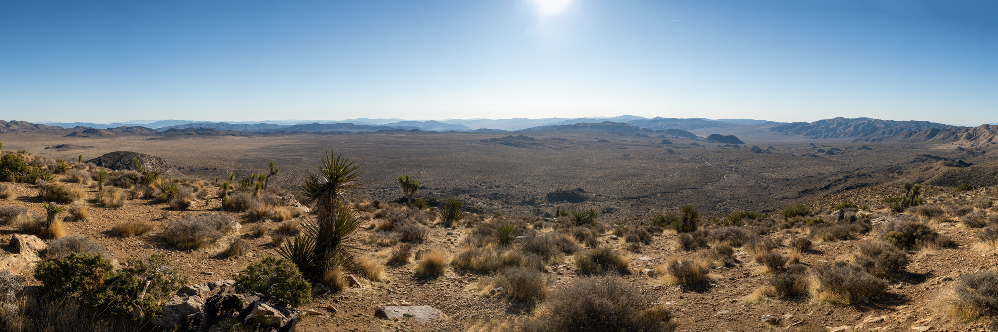 An image depicting the trail Desert Queen Mine Road and its surrounding area.