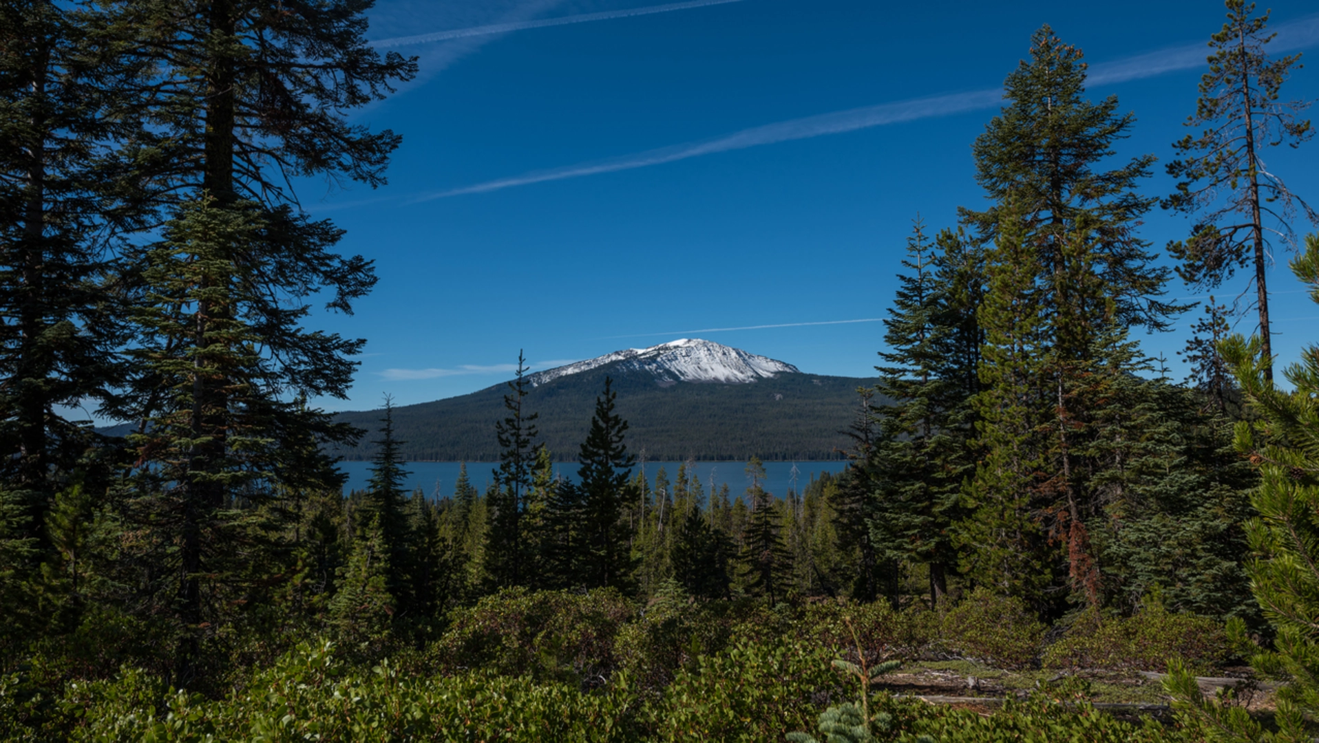 An image depicting the trail Upper Rogue River Trail and its surrounding area.