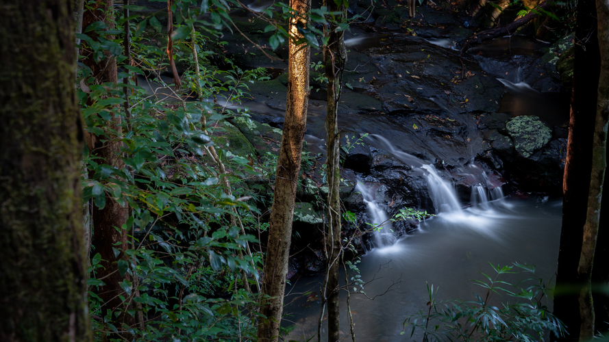 Picnic Creek Circuit