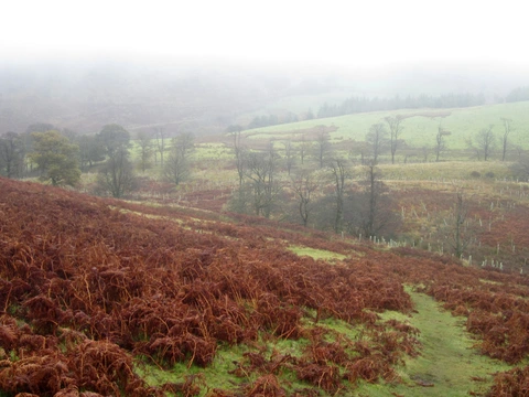 Ling Fell - Wythop Fell Loop