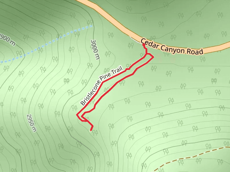 Bristlecone Pine Loop Trail