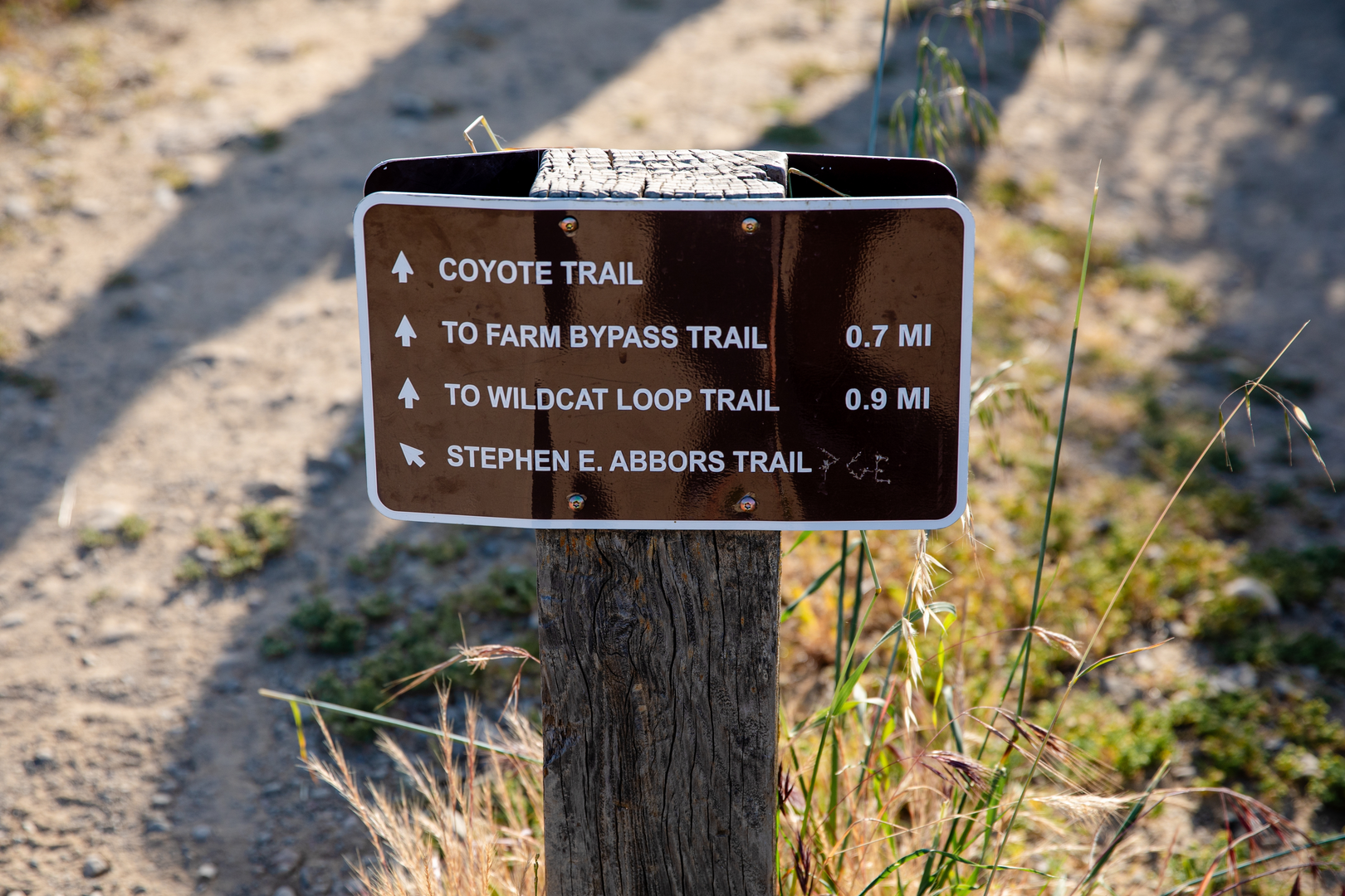 An image depicting the trail Quarry and Stephen E Abbors Trail and its surrounding area.