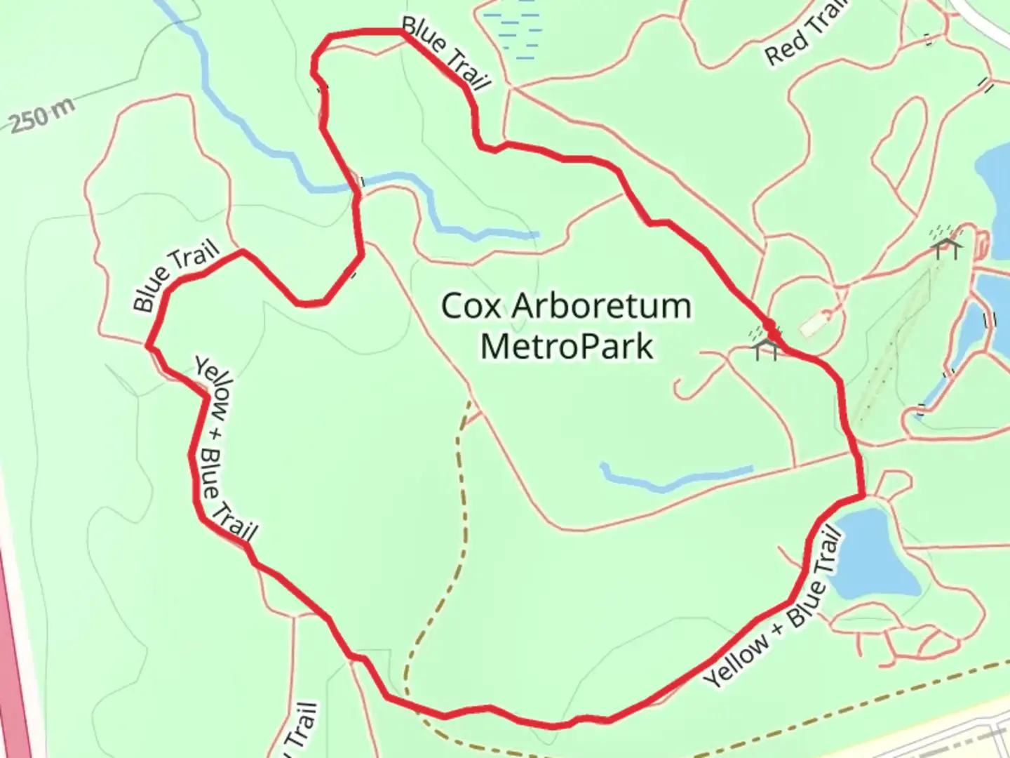An image depicting the trail Yellow-Blue Loop and its surrounding area.