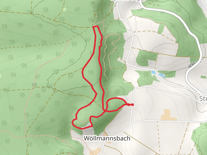 Wöllmannsbach Loop via Schwandorfer Panoramaweg