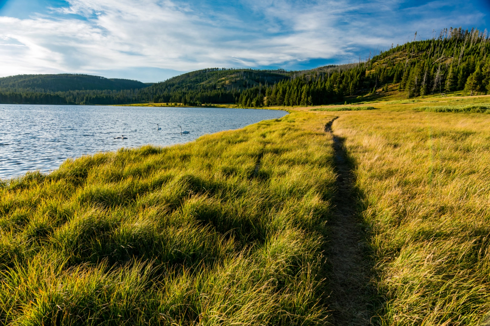 An image depicting the trail Cascade Lake Trail and its surrounding area.