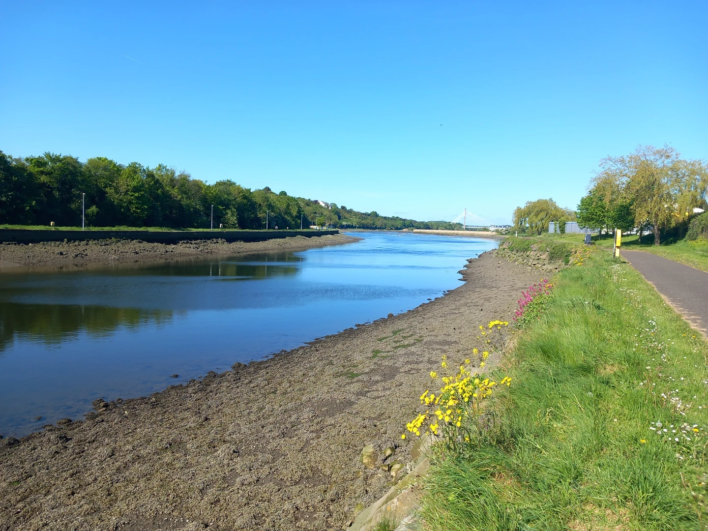 An image depicting the trail Boyne Valley Camino Loop from Drogheda and its surrounding area.