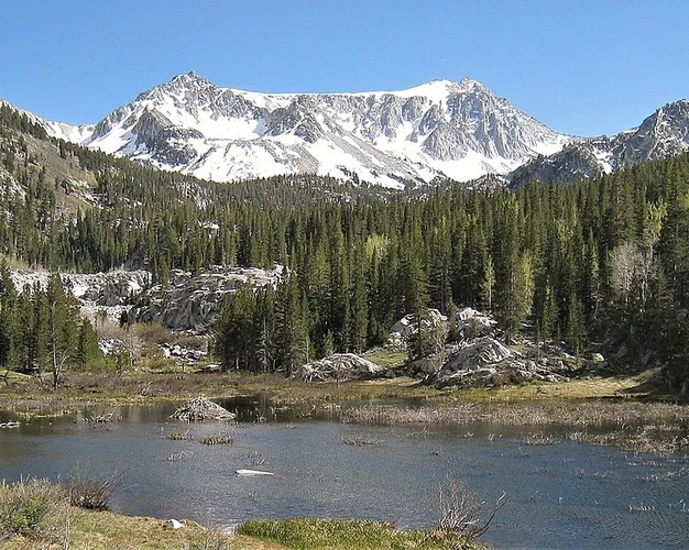 Big McGee Lake Trail