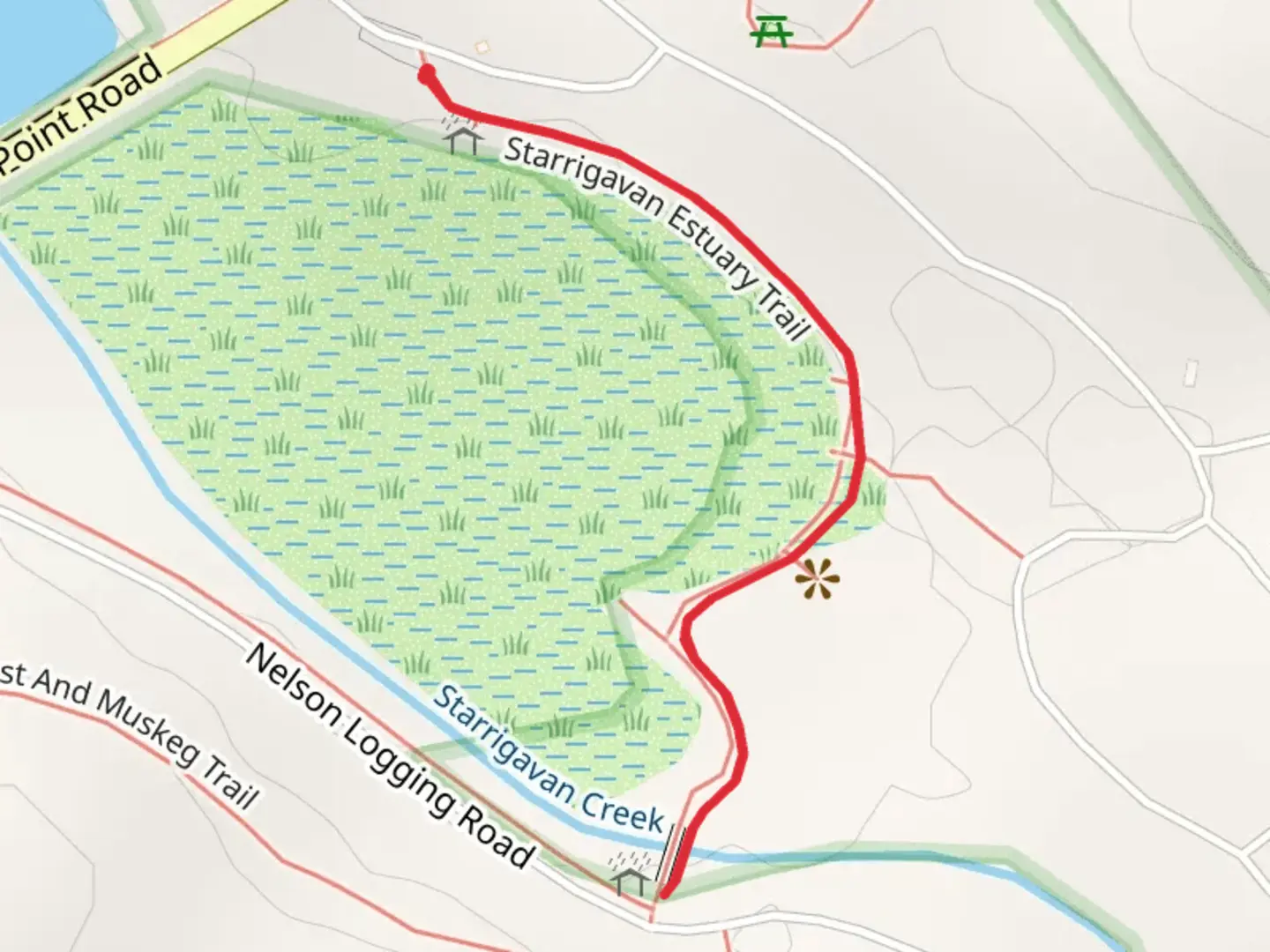 An image depicting the trail Starrigavan Estuary Trail and its surrounding area.