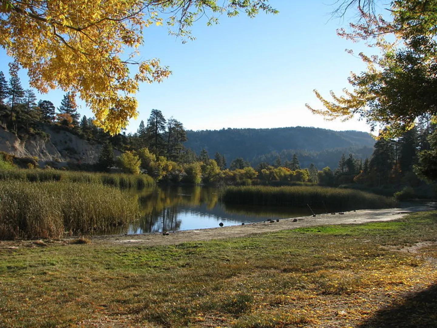 An image depicting the trail Woodcamp Creek Interpretive Trail and its surrounding area.