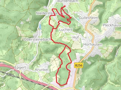Niedersteinebach Loop