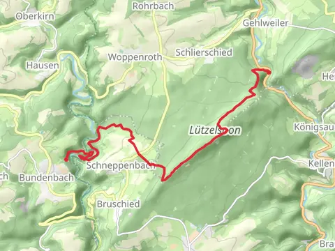 Hörtrichter, Teufelsfels, Womrather Höhe and Blickenstein Peak Walk via Soonwaldsteig