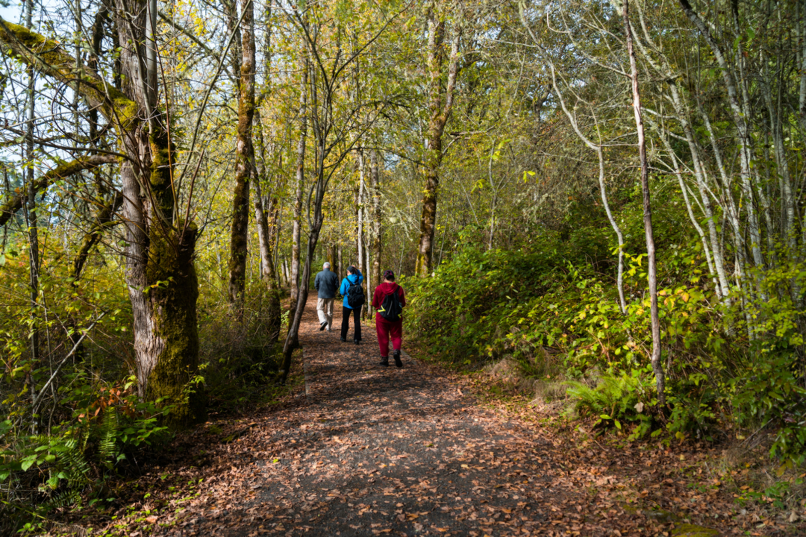 An image depicting the trail Poodle Dog Pass Trail via Old Monte Cristo Townsite Trail and its surrounding area.