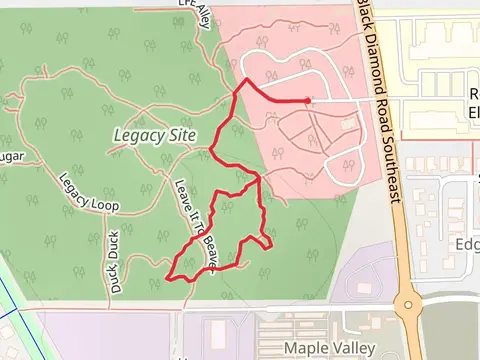Tahomie Gnomie Loop