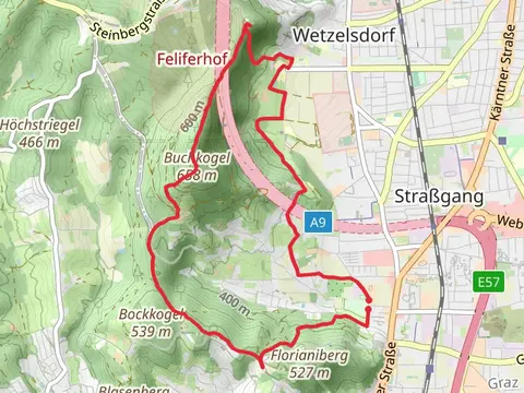Buchkogel Loop