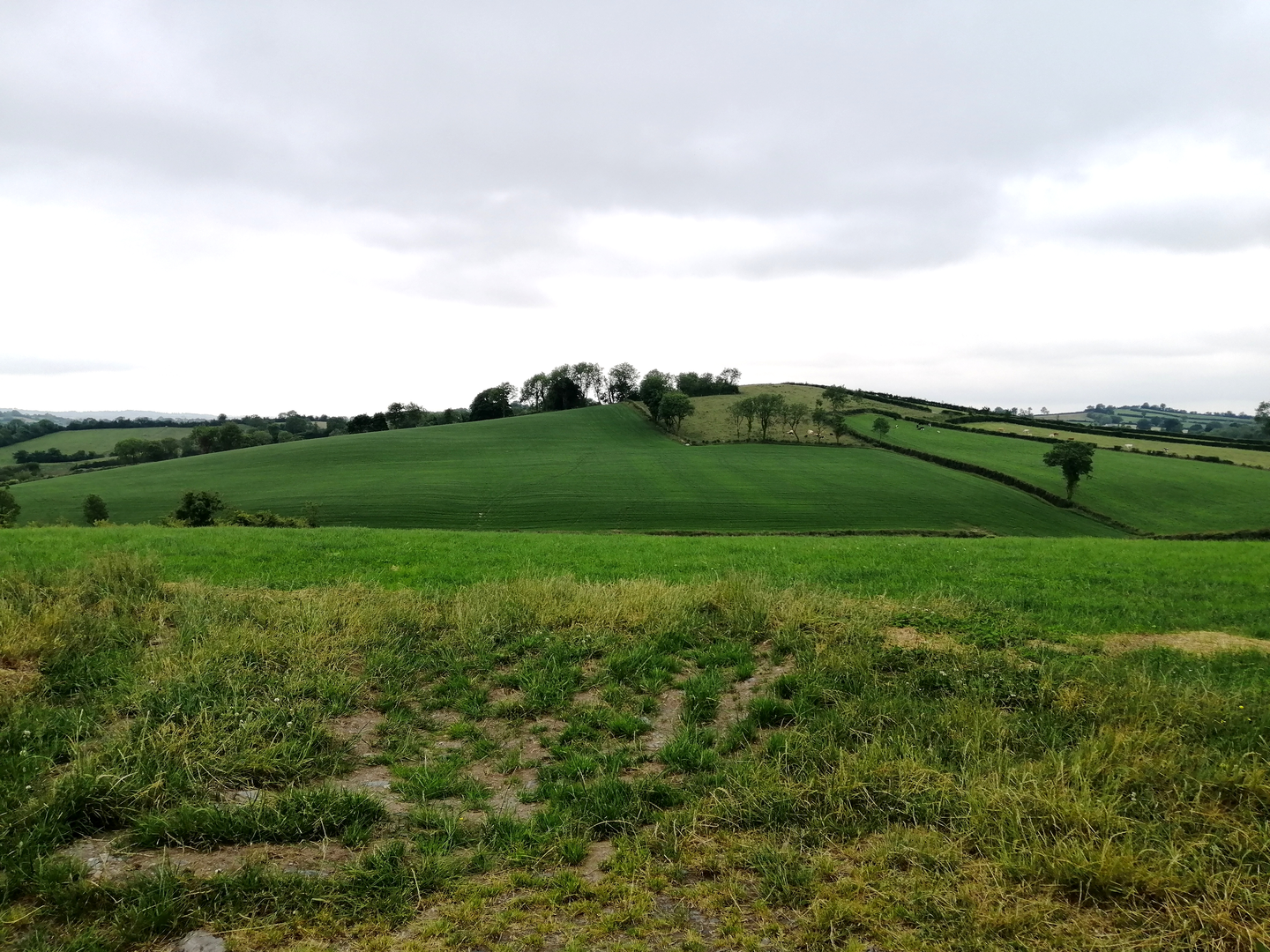 An image depicting the trail Monaghan Greenway and its surrounding area.