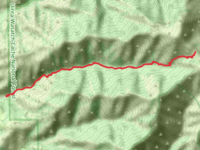 Smithfield Dry Trail