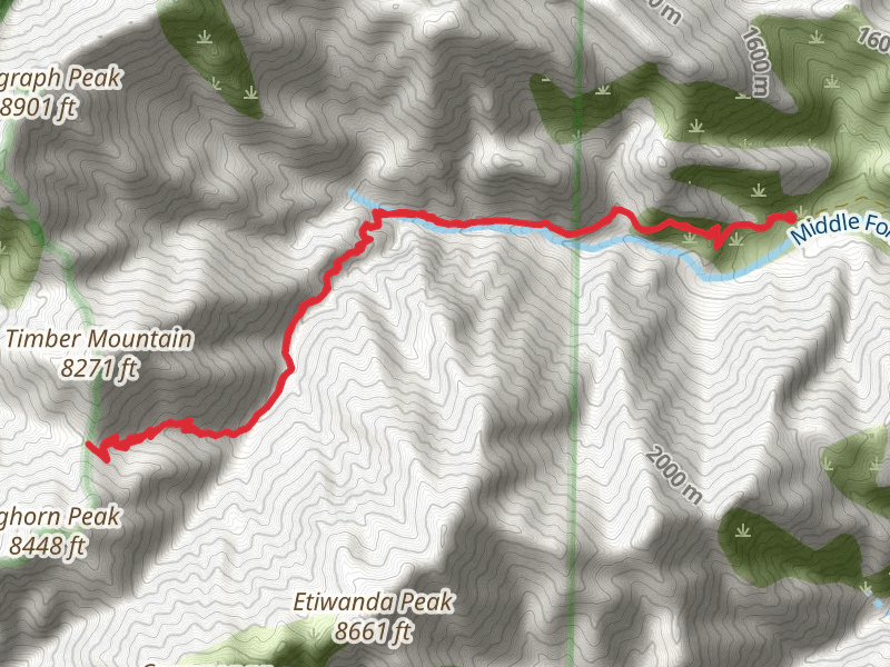 Icehouse Saddle via Middle Fork Trail