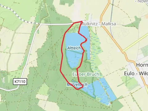 Altteich and Mützelteich Loop via Rundwanderweg Mulknitzer Teiche