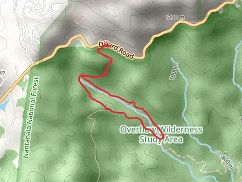 Bartram, West Fork and Hurrah Ridge Loop Trail