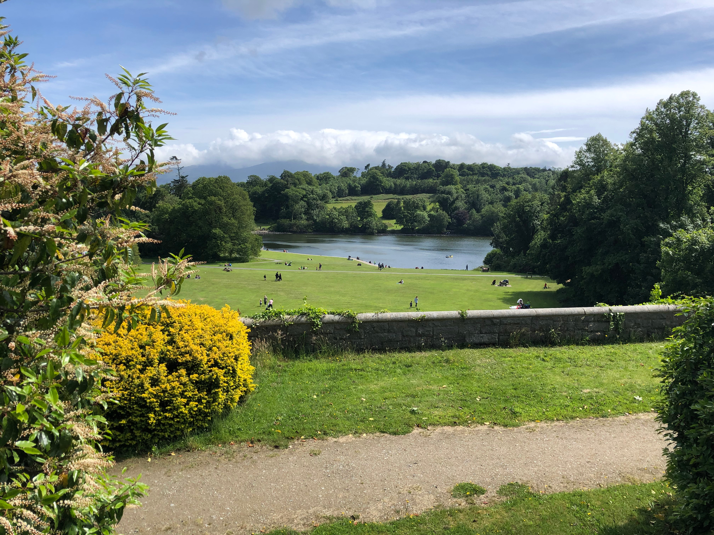 An image depicting the trail Slievenaslat Walk and its surrounding area.
