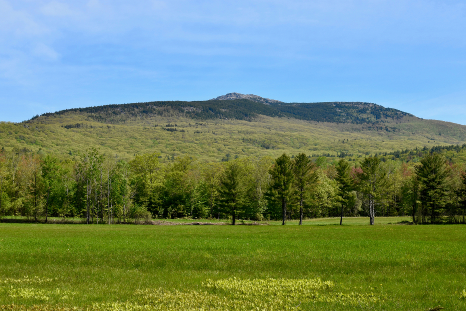 An image depicting the trail Mount Monadnock Loop - Poole Reservoir and its surrounding area.