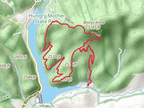 CCC, Molly's Knob and Lake Loop Trail