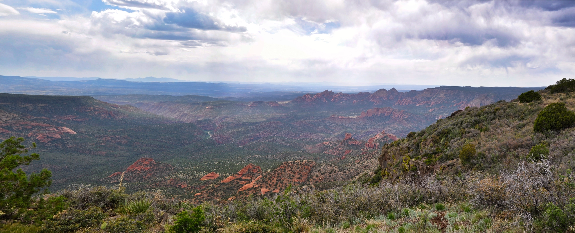 An image depicting the trail Rattlesnake Peak and Pepper Tree LoopLoop and its surrounding area.