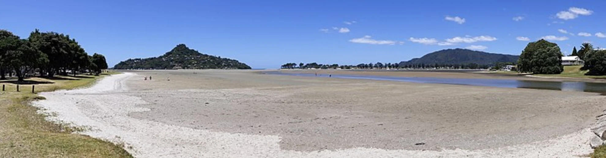 An image depicting the trail Pauanui Summit Trail and its surrounding area.