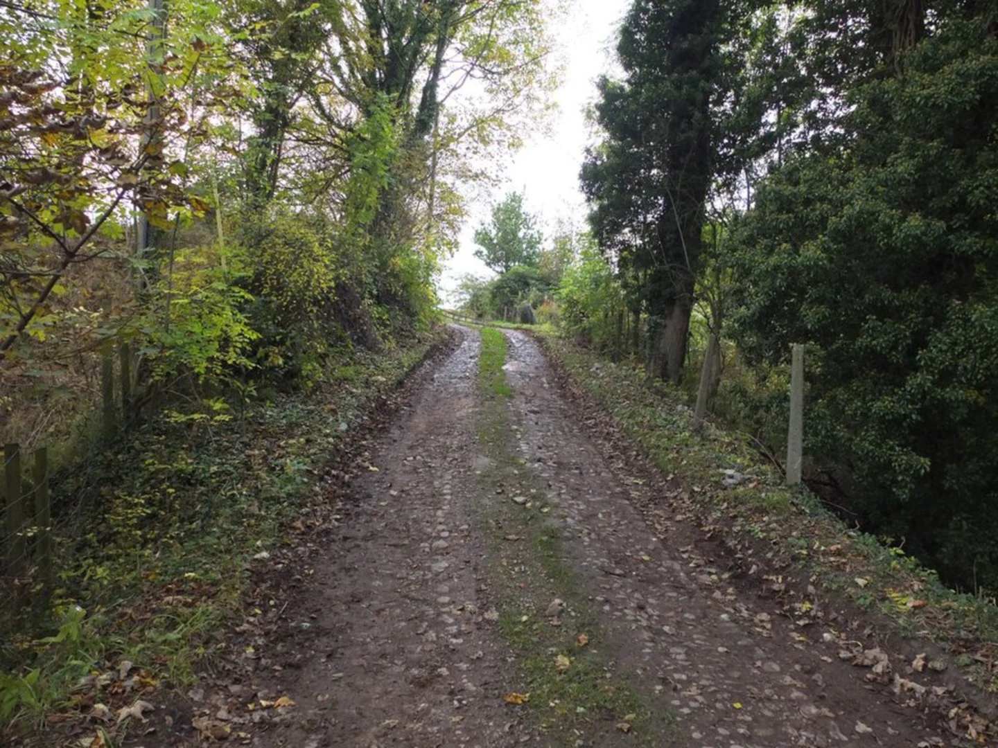 An image depicting the trail Hare Hill and Alder Wood and its surrounding area.