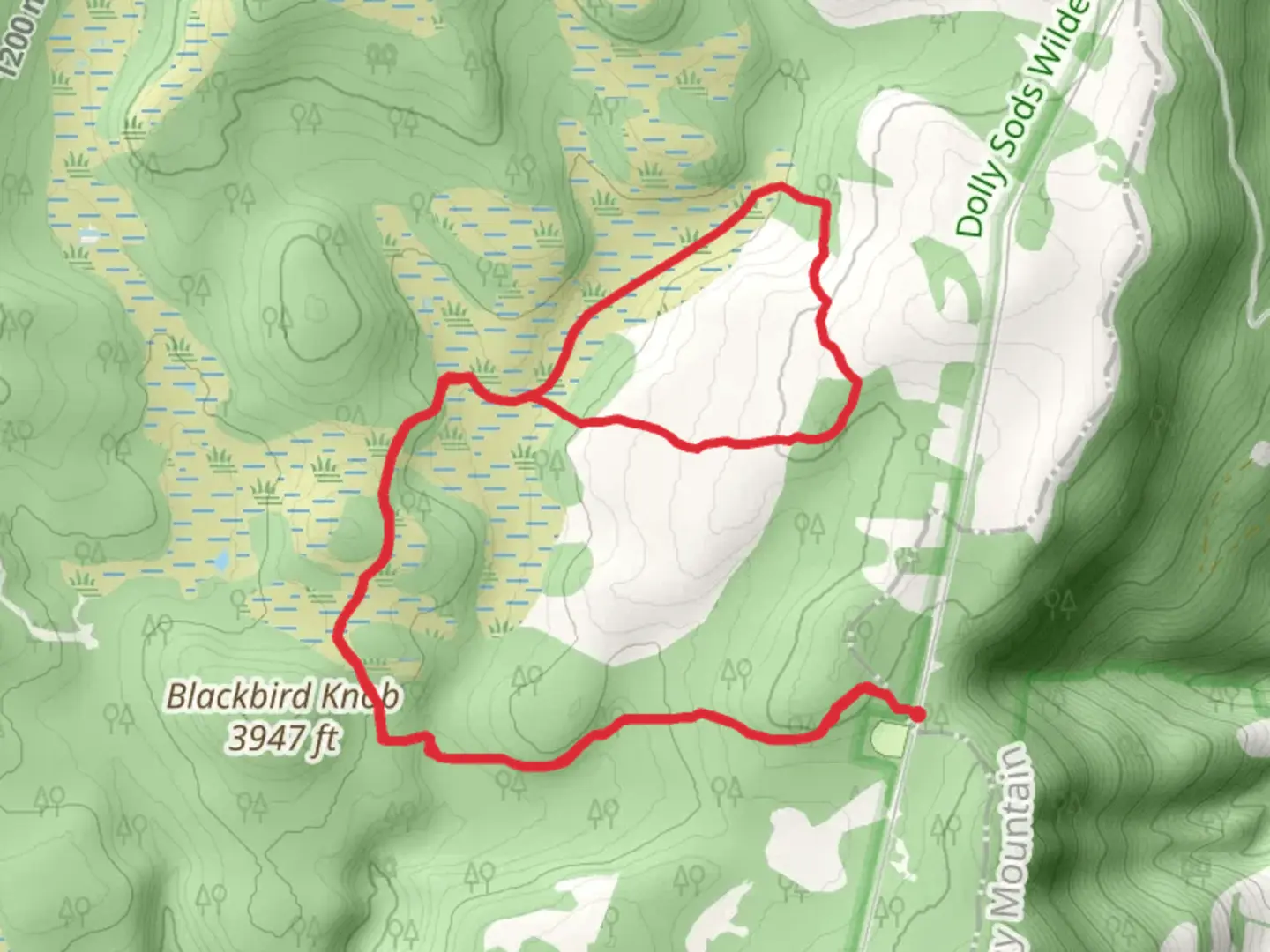 An image depicting the trail Blackbird Knob and Dobbin Grade Loop Trail and its surrounding area.