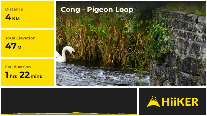 | Cong - Pigeon Loop