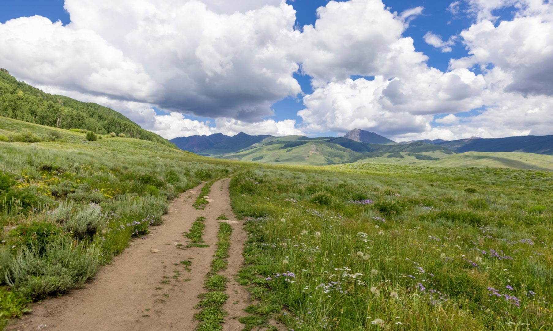 An image depicting the trail Brush Creek Trail and its surrounding area.