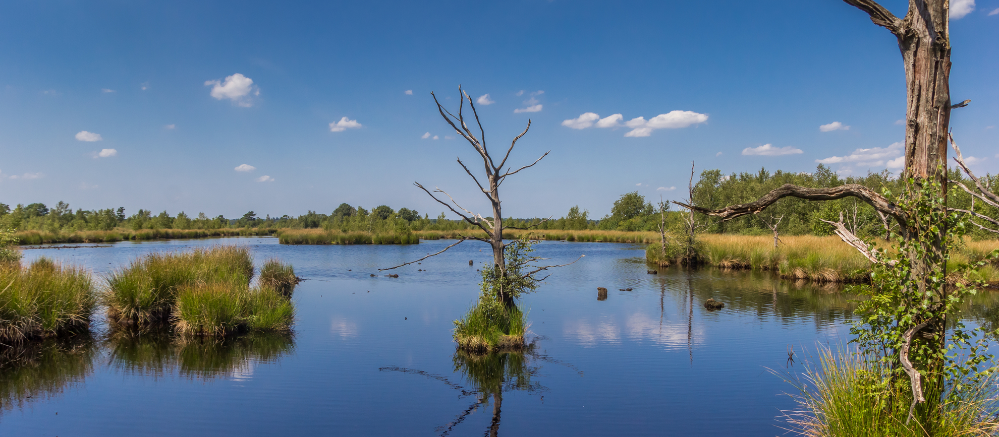 An image depicting the trail Groote Veen, De Poort and Schurenberg Loop and its surrounding area.