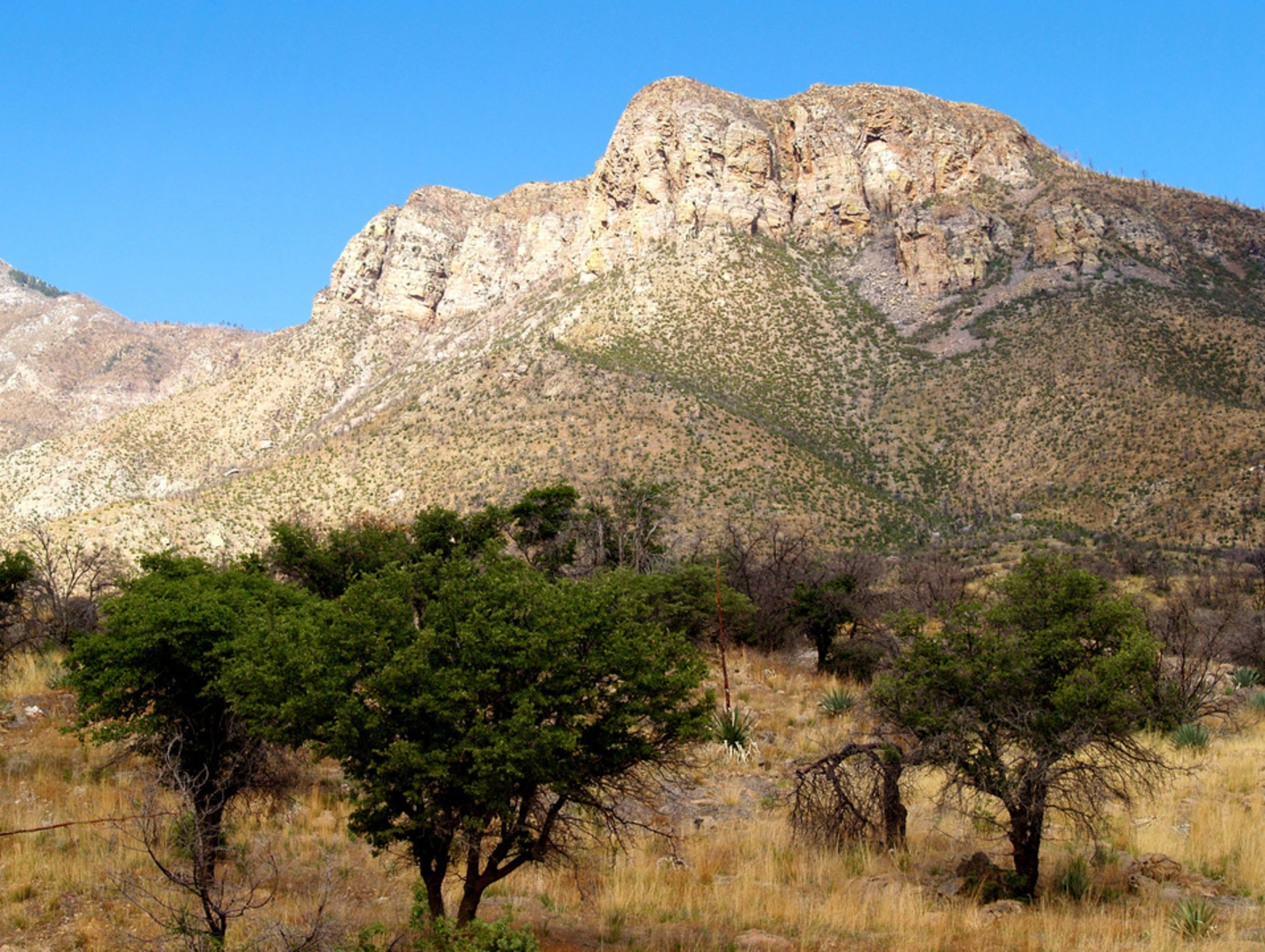 An image depicting the trail Hamburg Trail via Ramsey Canyon Trail and its surrounding area.