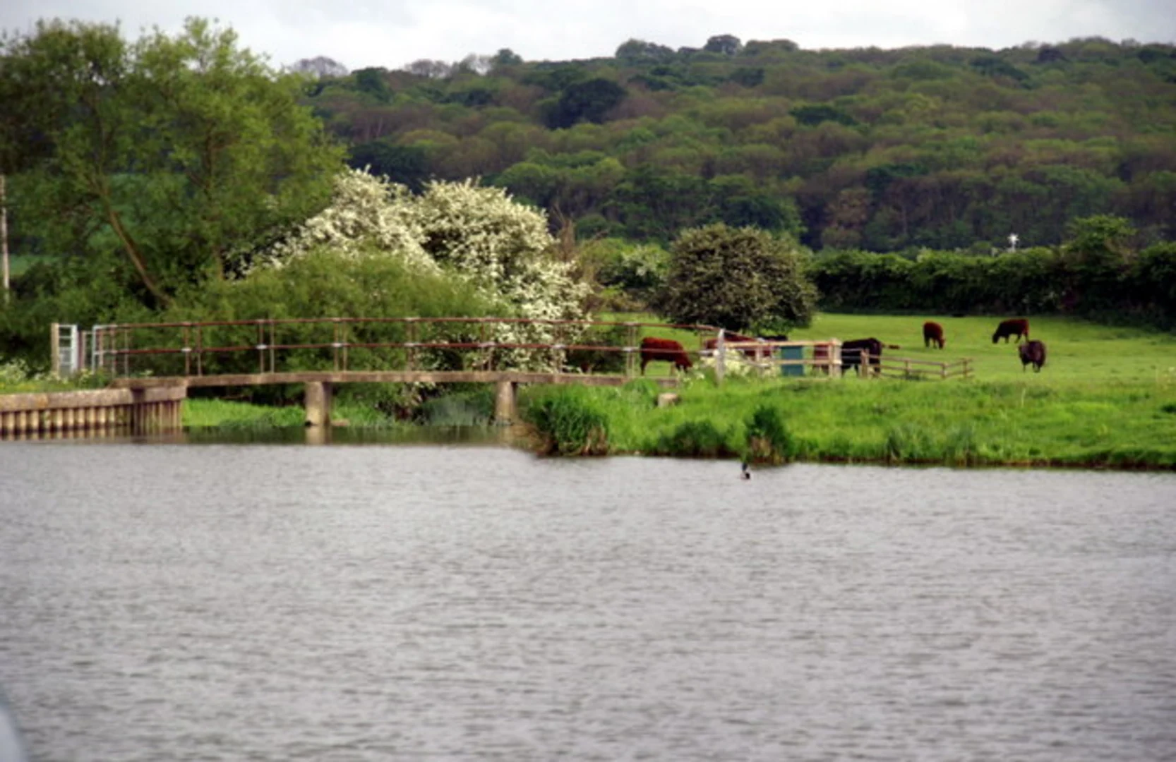 An image depicting the trail Wytham Stream and River Thames Loop from Oxford and its surrounding area.
