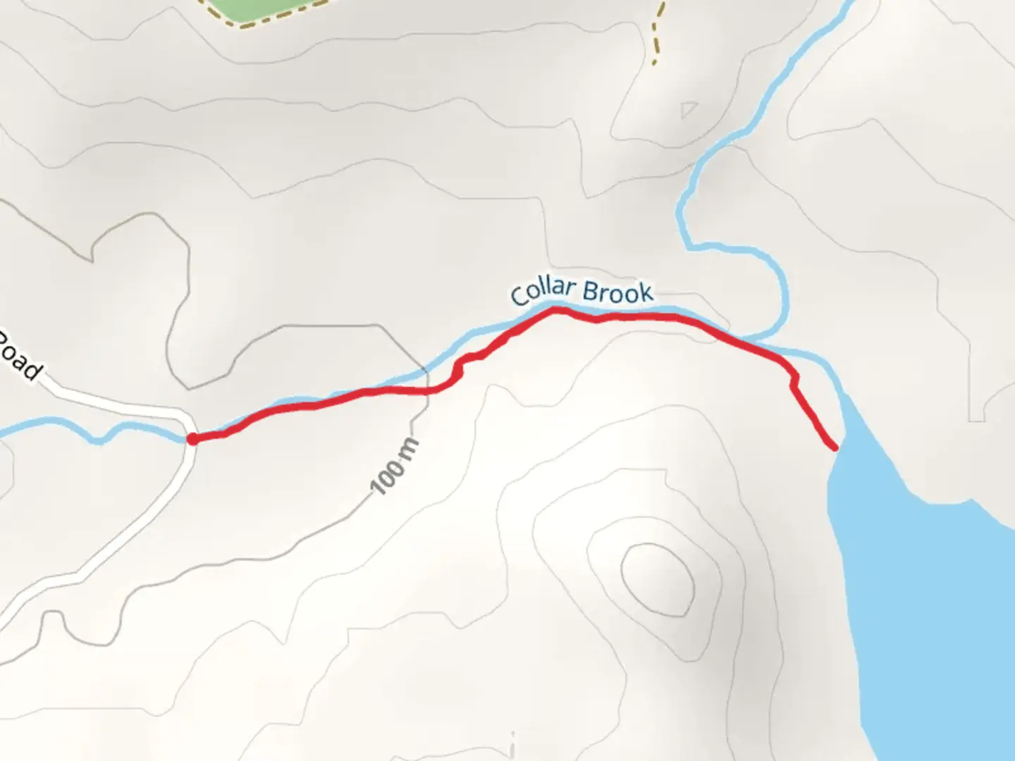 An image depicting the trail Rift Pond Trail and its surrounding area.