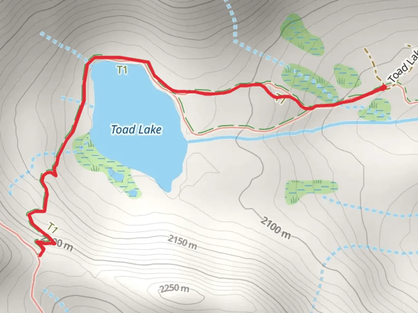 An image depicting the trail Toad Lake Trail and its surrounding area.