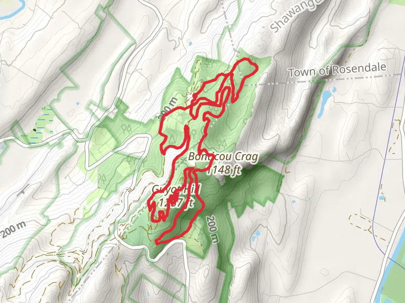 Guyot Hill Loop via Cedar Trail