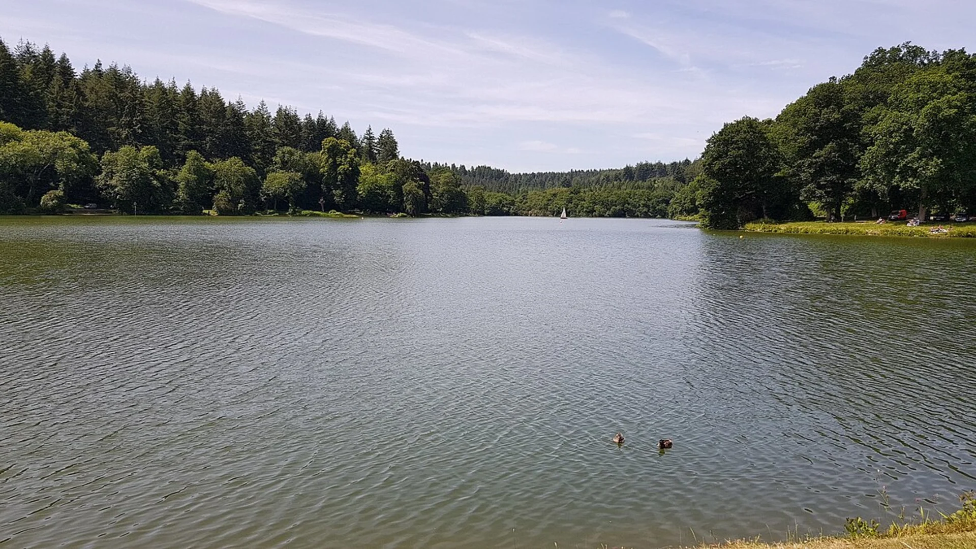 An image depicting the trail Shear Water and Longleat Forest Walk and its surrounding area.