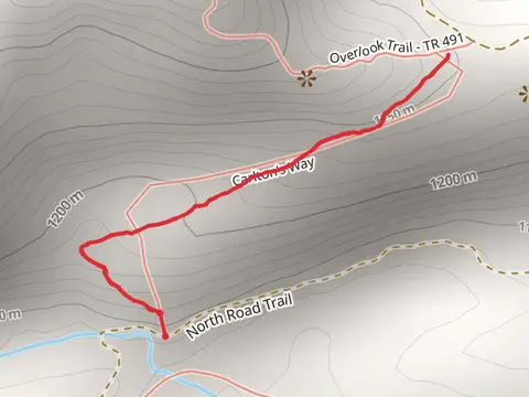 Carltons Way Trail