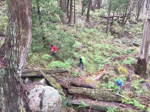 Mount Gorrin Trail