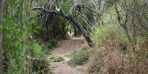 Santa Ana Loop Trail