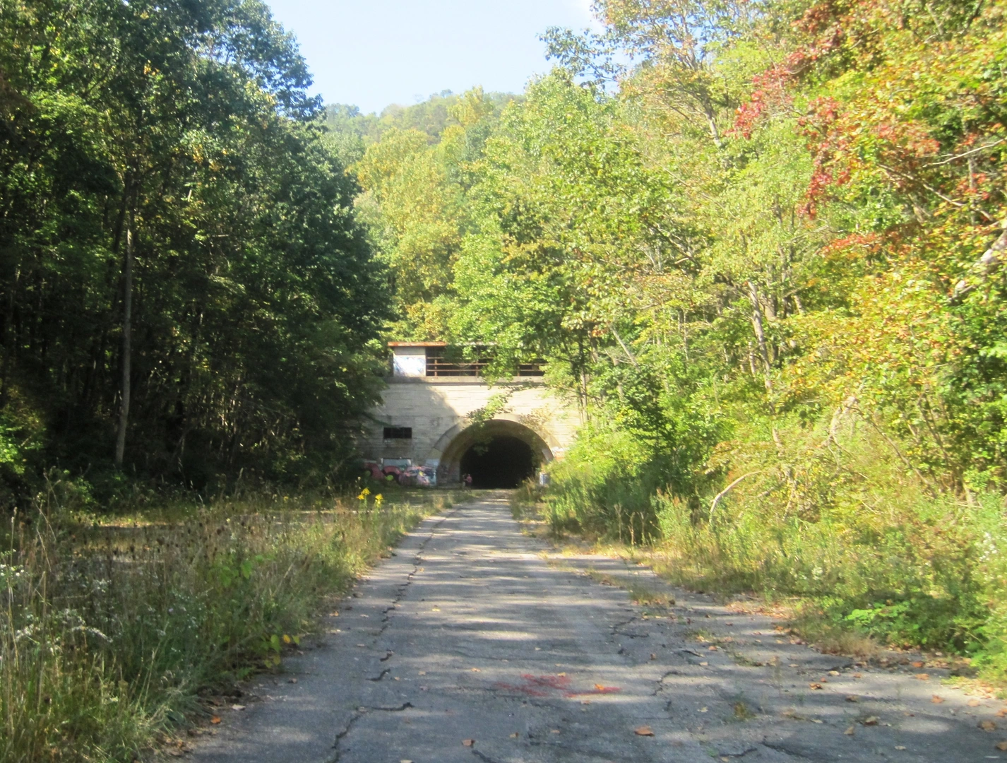 An image depicting the trail Hiram to Breezewood Trail and its surrounding area.